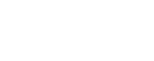 Brahman Commodities Logo