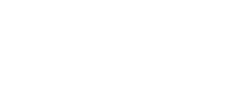 Brahman Commodities Logo